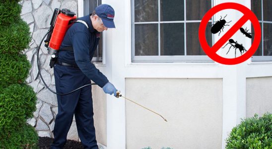 Akseki Bit İlaçlama böcek ilaçlama ve haşere kontrolü — ilaclama-tr.com
